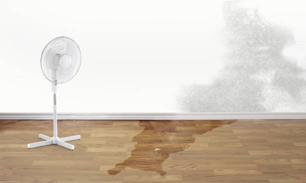 Best Commercial water damage restoration  in Conning Towers Nautilus Park, CT
